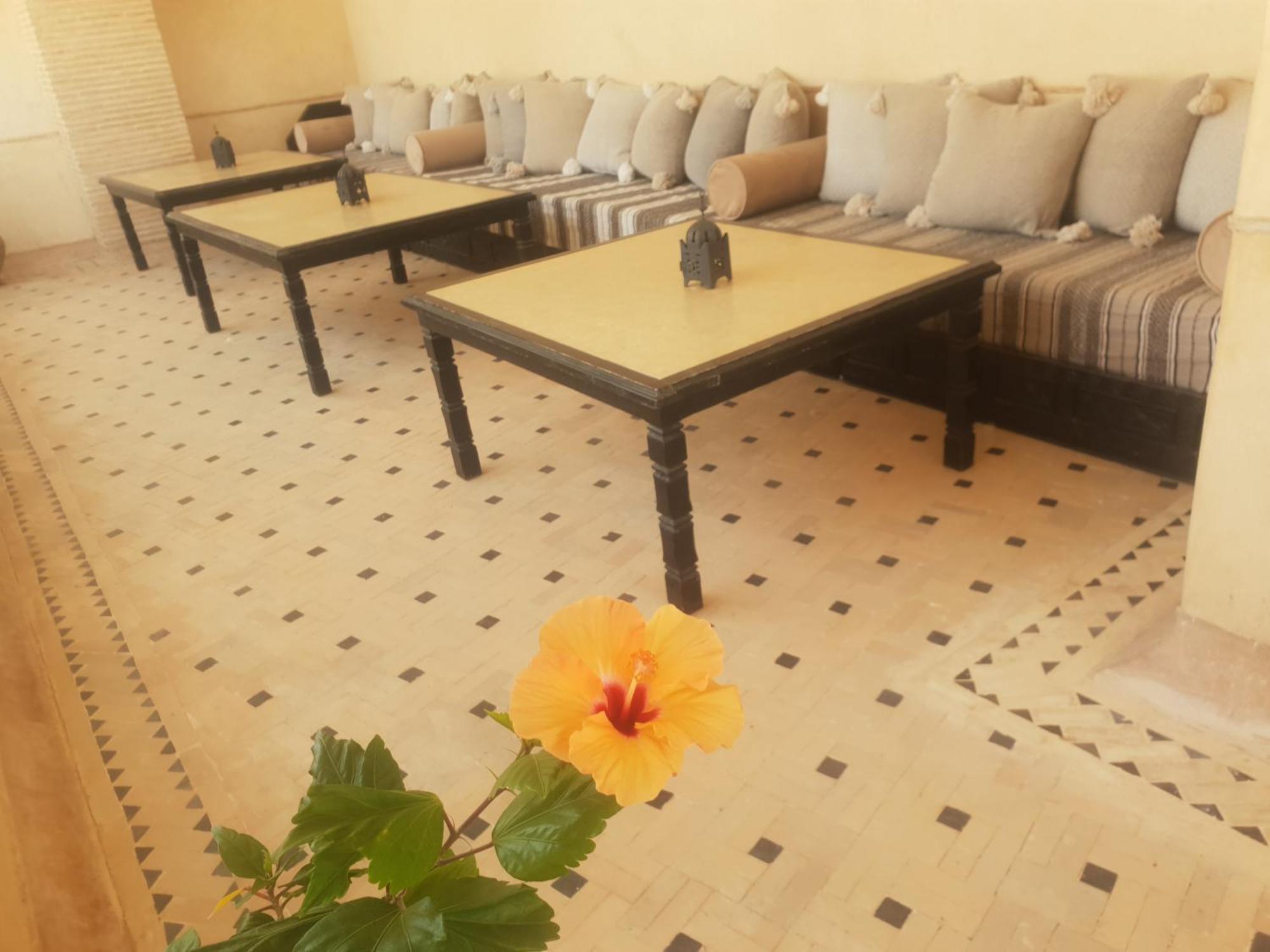 Riad Dar Haven Tamraght Dış mekan fotoğraf